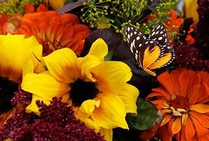 Designer's Choice Large Fall Vase Arrangement - Fall is here and we have a wide variety of fall flowers.  Send a seasonal arrangement that will be sure to put a smile on that special person's face! FLOWERS MAY VARY 