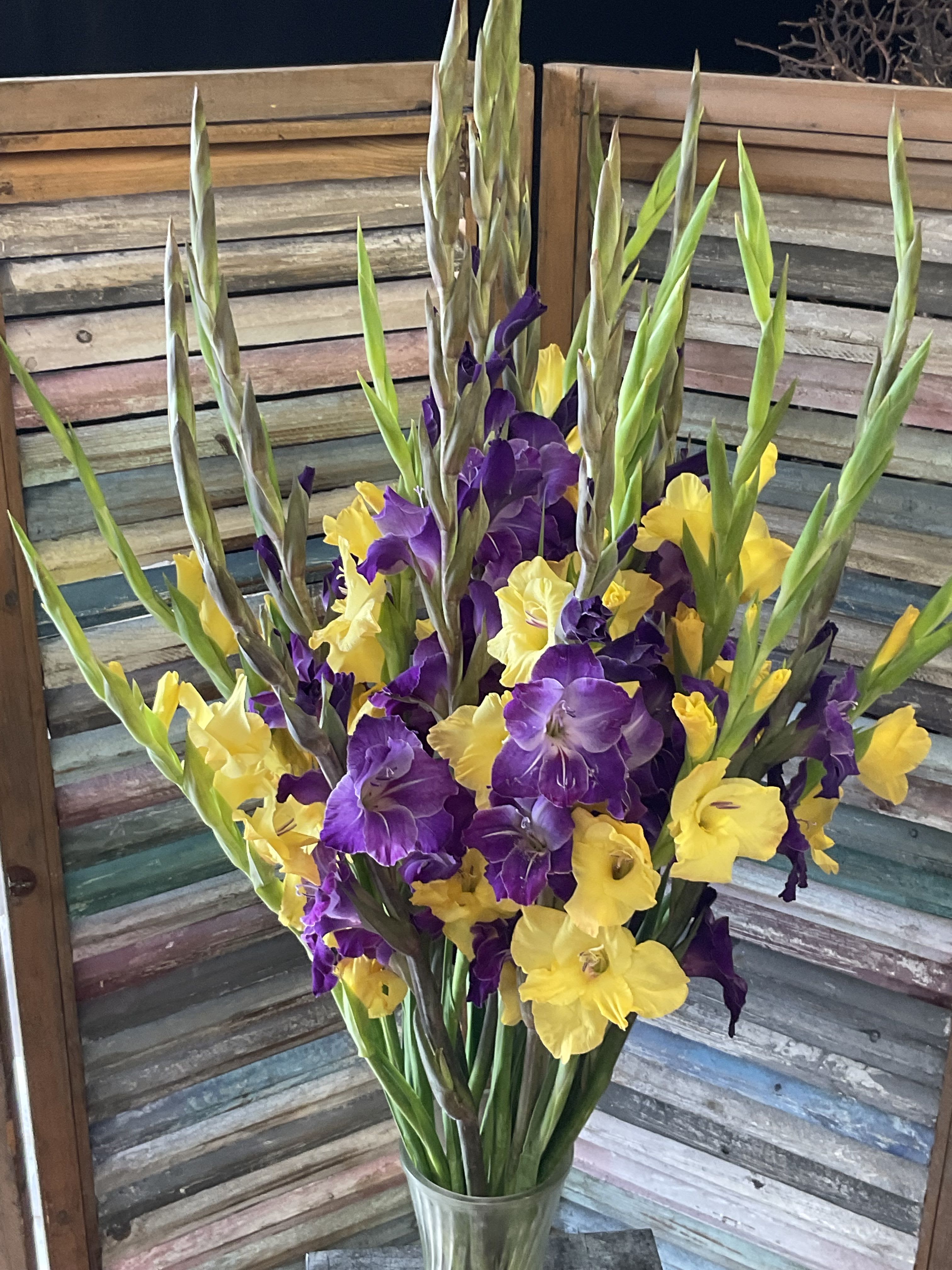 Glad to … Glad to … - A beautiful arrangement of gladiolus!