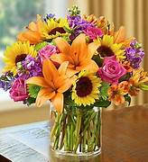 Floral Embrace Floral Embrace - vibrant colors fragrant stock sunny sunflowers rich hot pink roses round out this stunning bouquet