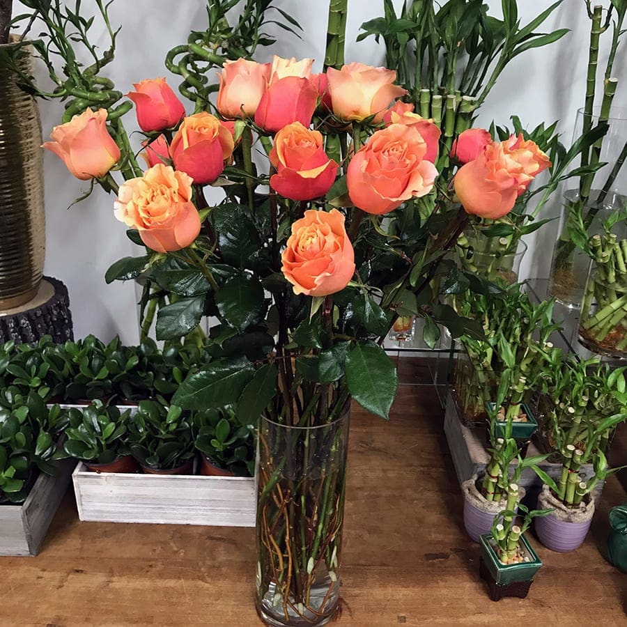 Promenade Sunset Promenade Sunset - This stunning arrangement of long-stem orange roses is sure to warm the heart of your special one. The fresh blooms are placed in a clear cylinder glass vase to complete the look.
