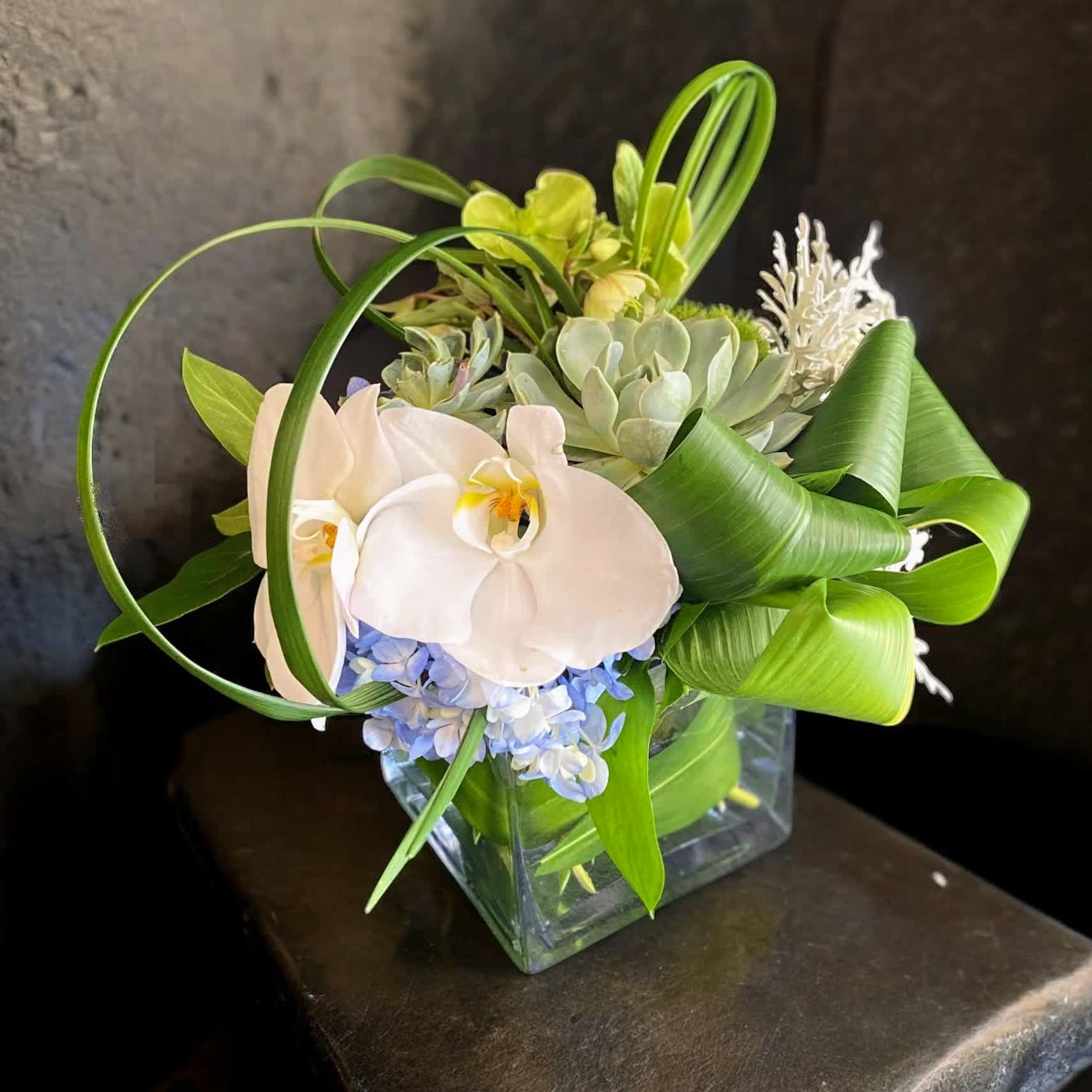 Cambria - Named after a favorite place to visit. This arrangement holds a beautiful variety of cooler colors, topped off with orchids and a succulent to keep! Made in a 4x4&quot; container. Pictured is our standard sizing.