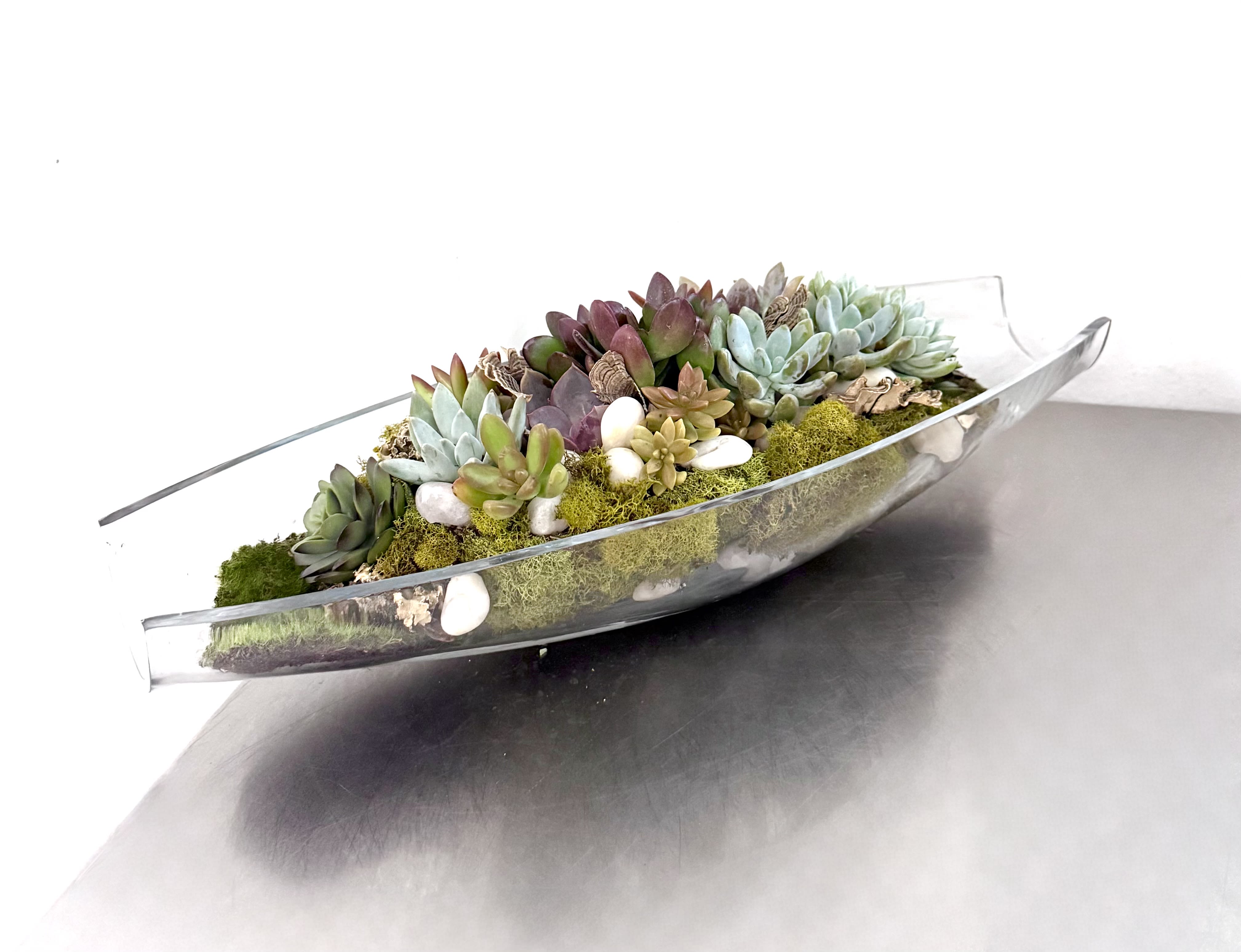 Succulent Boat Planter -  The image displays a vibrant succulent arrangement housed within a sleek, clear glass art boat-shaped planter. The arrangement features a variety of succulents in different shades of green, purple, and reddish hues, nestled amongst a bed of lush green moss and scattered white decorative stones. 