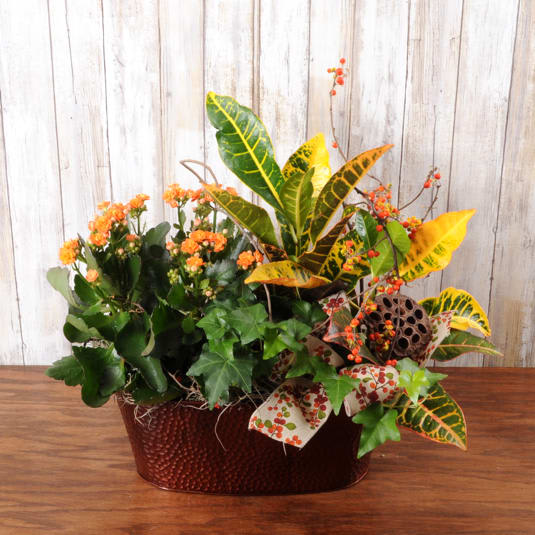 Copper Plant Basket Copper Plant Basket - Seasonal Fall plants arranged in a modern copper themed container.