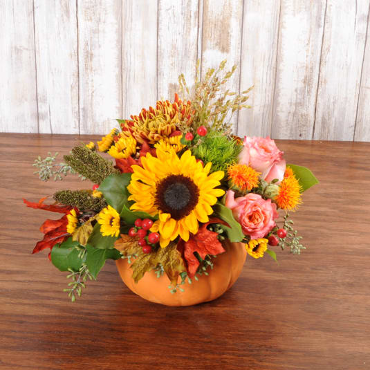Fall Festival - .