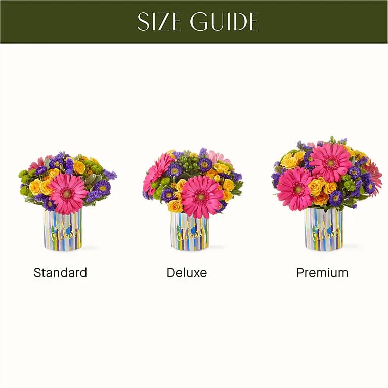 Cheers to You Bouquet Cheers to You Bouquet - Raise a toast to life’s special moments with this celebratory mix of pink, yellow, green and purple blossoms.The Standard Bouquet is approximately 12"H x 12"W . Pet Safety Precautions: This bouquet or plant may include flowers and foliage that are known to be toxic to pets. To keep them safe, be sure to keep this arrangement out of your pet's reach. Bloom Details: Aster Gerbera Daisy