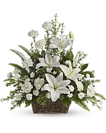 Peaceful White Lilies Basket Peaceful White Lilies Basket - As peaceful and beautiful as a starry night, this pure white funeral bouquet is a touching way to remember a truly special person. Send this classic arrangement to comfort the newly bereaved at the funeral. Fresh white oriental lilies and carnations are mixed with rich greens such as salal and oregonia or leather leaf in a natural basket.( The basket's Type & color may be different depend on available) Orientation: One-Sided SIZES: 25" H x 26''W