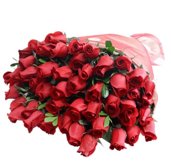 PREMIUM EXTRA-LARGE BOUQUET OF 50 ROSES PREMIUM EXTRA-LARGE BOUQUET OF 50 ROSES - X-Large Bouquet with 50 fine Red roses and delicate foliage. Referential measurements: Height 24 inches wide 20 inches Includes flower food (preservative) for better care. Wrapped with Ffine paper and tule fabric. (We have diferent color)