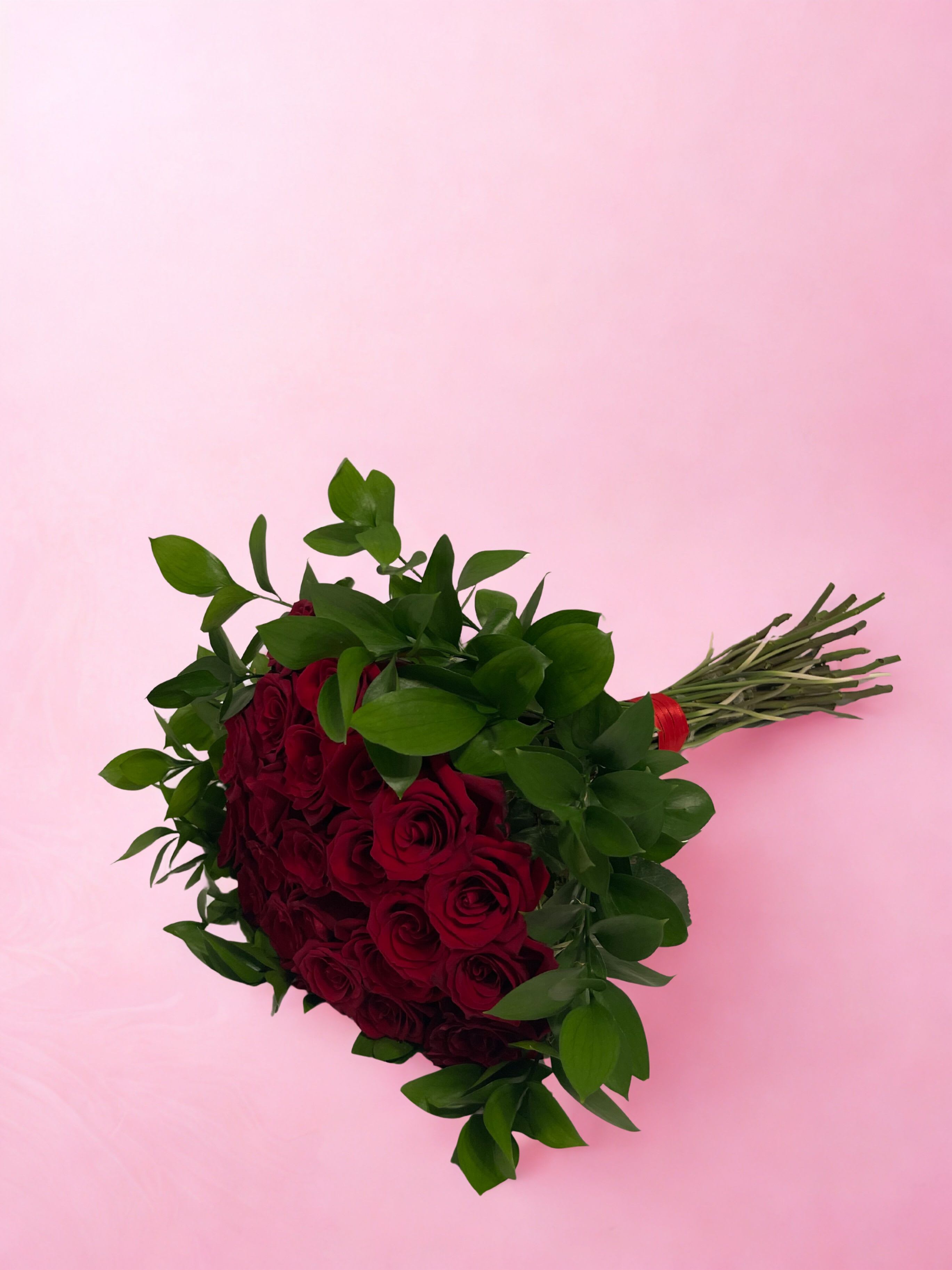 25 Red Roses - 25 red roses with ruscus. No vase included. 