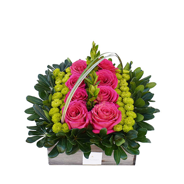 Rose Box - A Gorgeous gift and an all time favorite Box of Roses is a just the perfect gift to send when the intention is to make your loved one smile .This large sized arrangement comes only in bright colored roses which are carefully arranged in a wooden box by our designer. For same day delivery and Free Delivery Options Text or Call  832-973-1376.