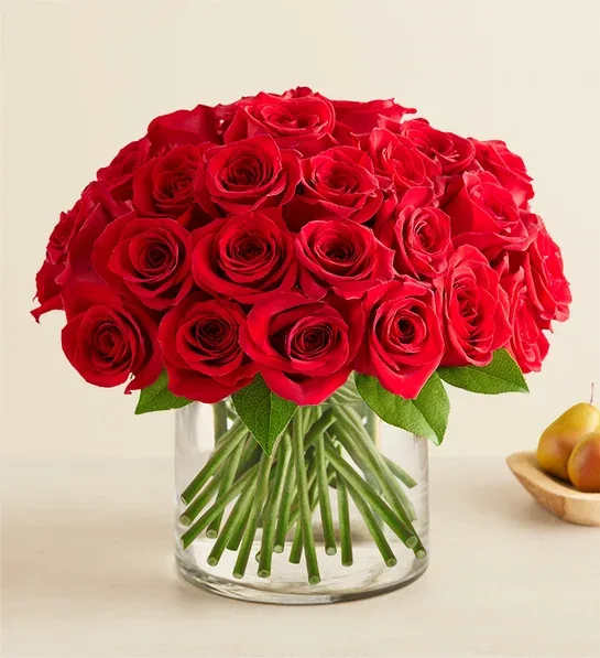 Contemporary Red Roses - Classic red roses, with a contemporary twist. Our radiant blooms are tightly gathered into a chic dome shape with lush greenery by local florists, then hand-delivered to someone special with style and sentiment.