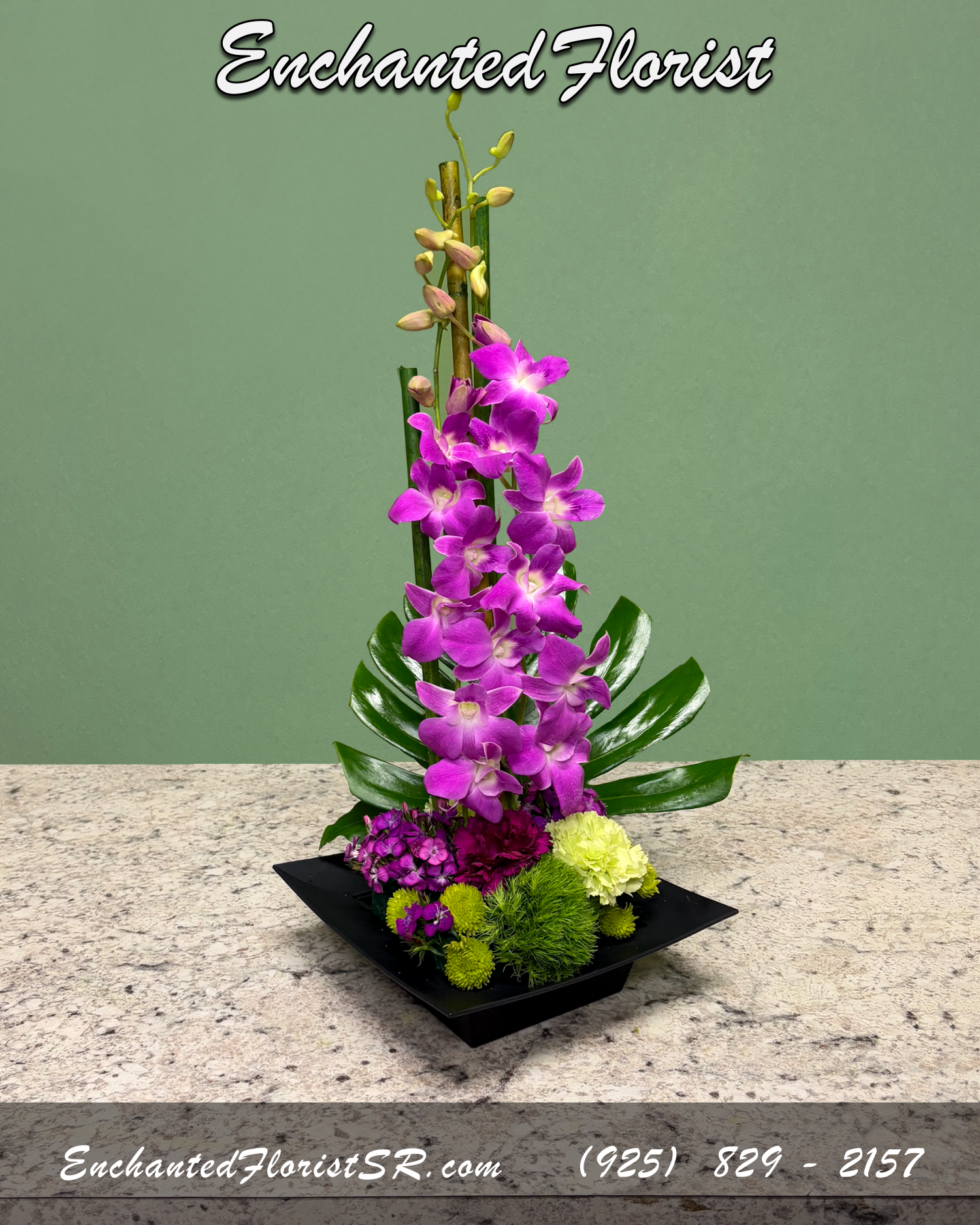 Zen - Dish Arrangement - A structural dish arrangement showcasing a green and purple tropical palette. Perfect for celebrating special occasions, expressing heartfelt sentiments to someone special, or improving the feng shui of any room.  Featuring dendrobium orchids, 'trick' dianthus, 'button' mums, carnations, and sweet williams. Accented with bamboo shoots, and a monstera leaf. Presented on a stylish square slate dish.  Arrives On: Square slate plastic dish  Orientation: One-Sided  Approximate Dimensions: Height: 16&quot; Width: 12&quot; Dish Diameter: 12&quot;