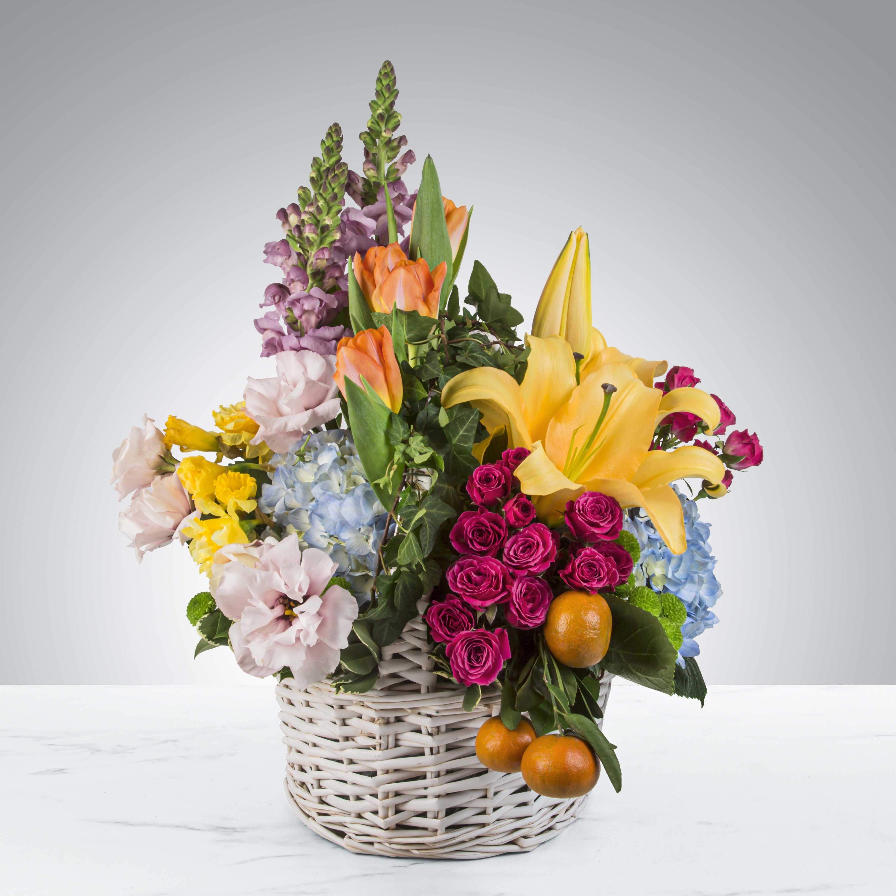 April Showers by BloomNation™ April Showers by BloomNation™ - Featuring lilies, tulips, clementines, spray roses, lisianthus, daffodils, ivy and more in a classic white wicker basket, April Showers by BloomNation™ is the ultimate spring arrangement. Short of a pollen allergy and a bunny, this is as close to gifting a season you can get. Perfect as an Easter or Passover gift, this arrangement will be sure to impress. APPROXIMATE DIMENSIONS 17" W X 24" H