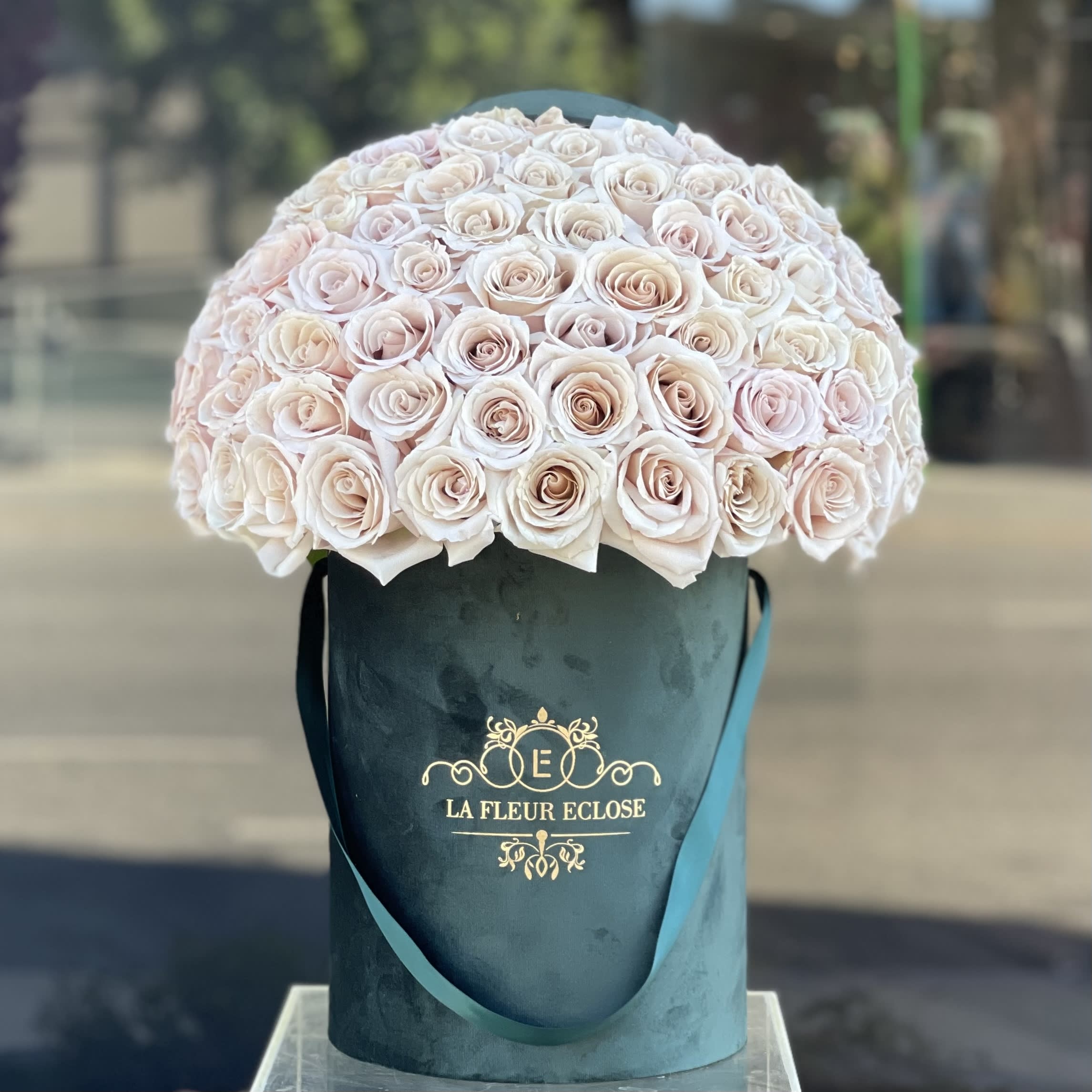 75 ROSES IN GREEN VELVET BOX -  75 roses (pictured) Premium - 100 roses
