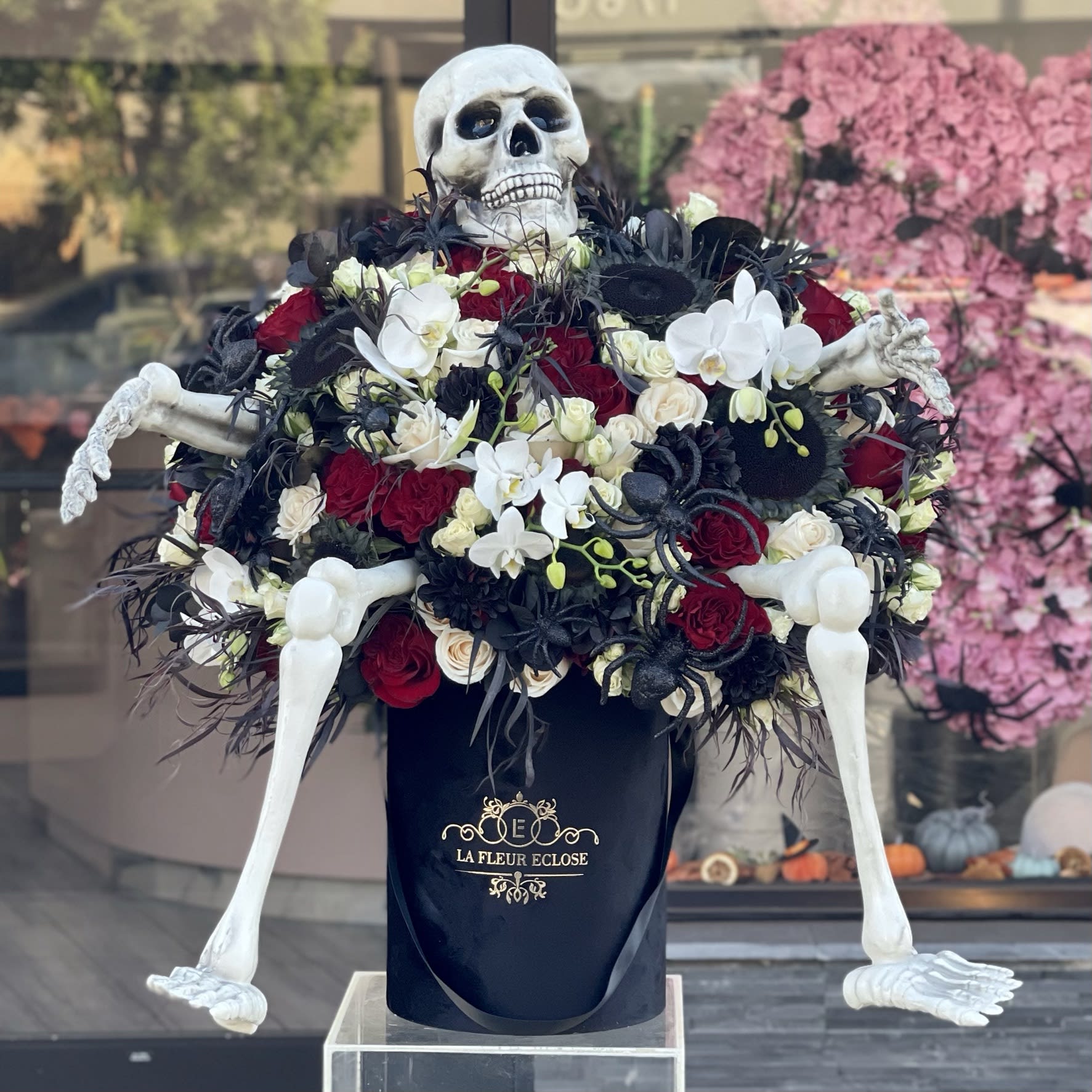 Dark skeleton - Dark arrangement with the skeleton for a perfect Halloween 