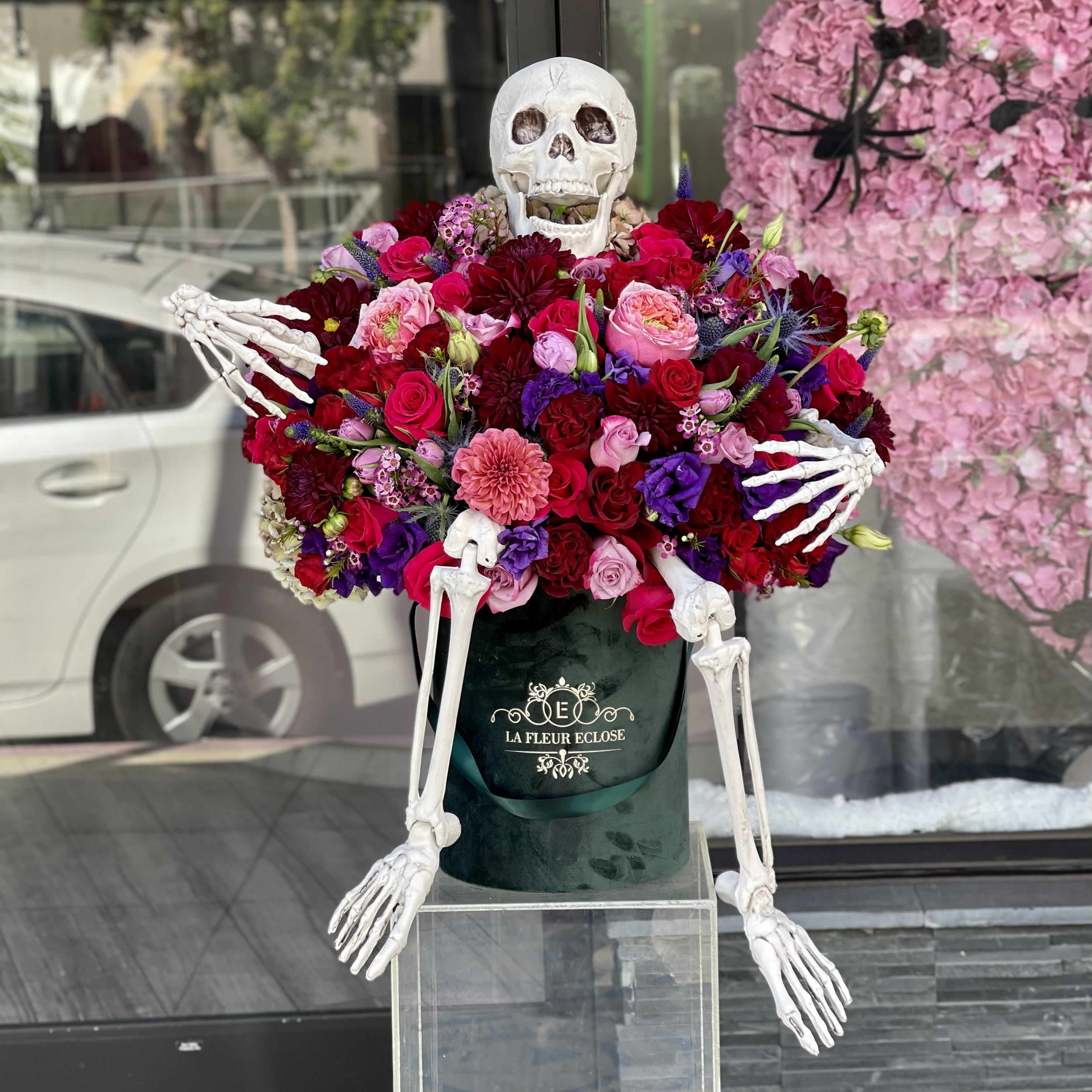 Mr.Skeleton - Skeleton comes with the arrangment