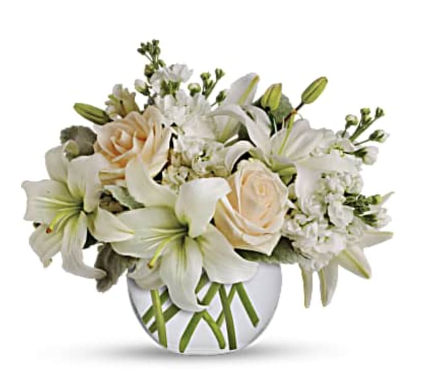 Isle of White - Breathtaking! Blooms of bright white and cream are rich with texture and innocent beauty. Presented in a versatile bubble vase she'll use later for roses, tulips, potpourri, and candlelit centerpieces, this is a fabulously fragrant choice for a bride-to-be, your beloved mom, or an old friend. Crème roses, white asiatic lilies, white stock and beautiful dusty miller are delivered in a fun bubble vase. Orientation: All-Around  SUBSTITUTION POLICY – Always deliver the freshest flowers! Please note the bouquet pictured reflects our original design.  If the exact flowers or container in this arrangement are not available, our local florists will create a beautiful bouquet with the freshest available flowers.