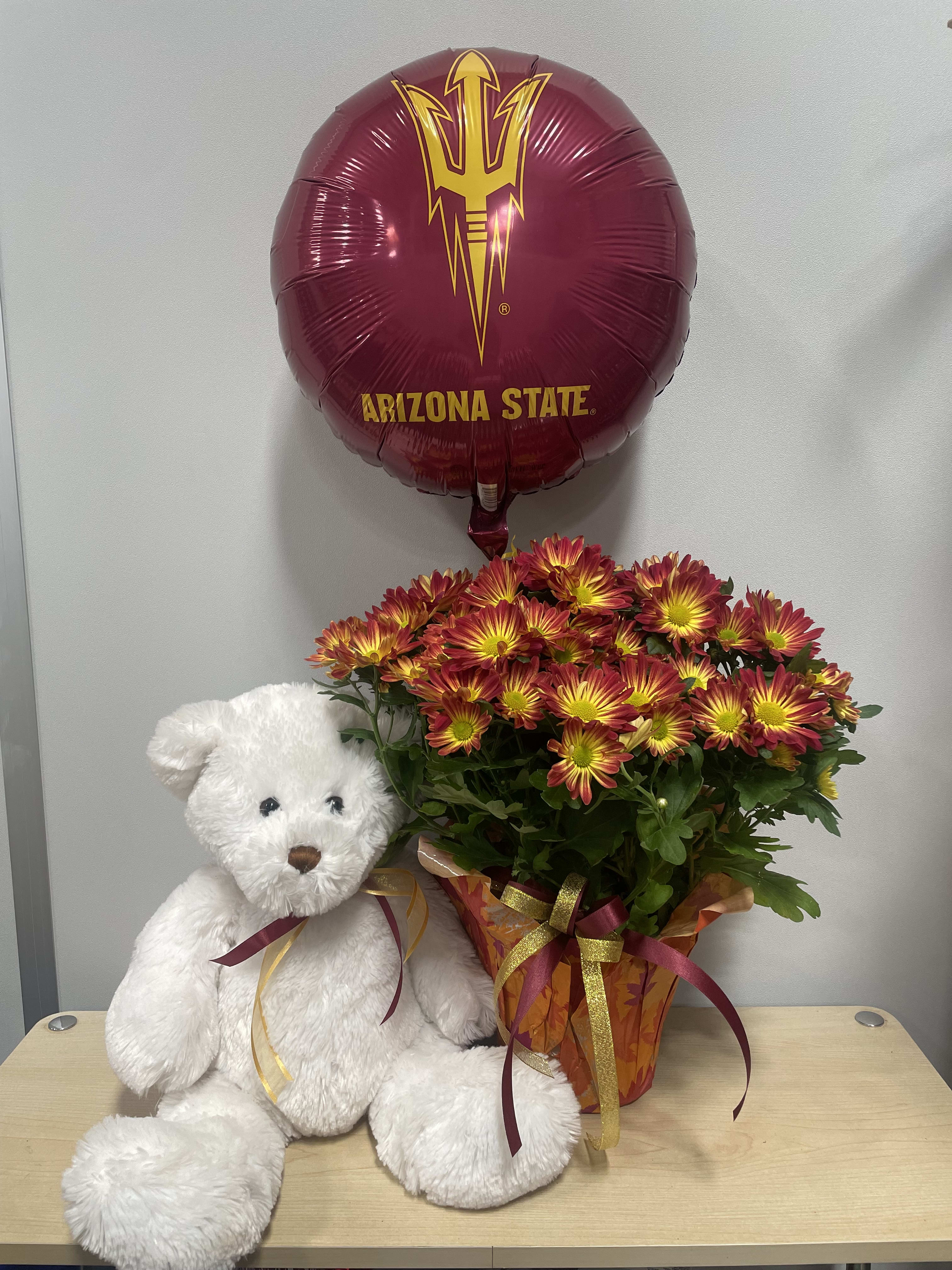 ASU Daisy Plant &amp; Bear Trio - As shown 