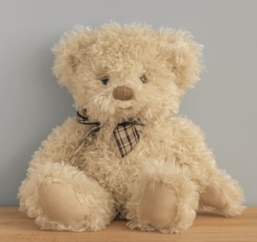Teddy Bear Teddy Bear - Show your love with a fluffy, plush teddy!
