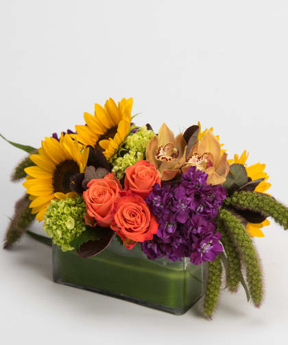 Abundant Autumn Blooms Abundant Autumn Blooms - A beautiful combination of bright and vibrant autumn flowers.