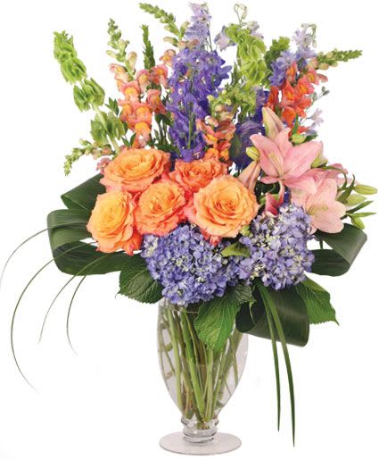 SPIRITED DELPHINIUM - MIXED COLORS TO INCULDE DELPHINIUM AND HYDRANEAS