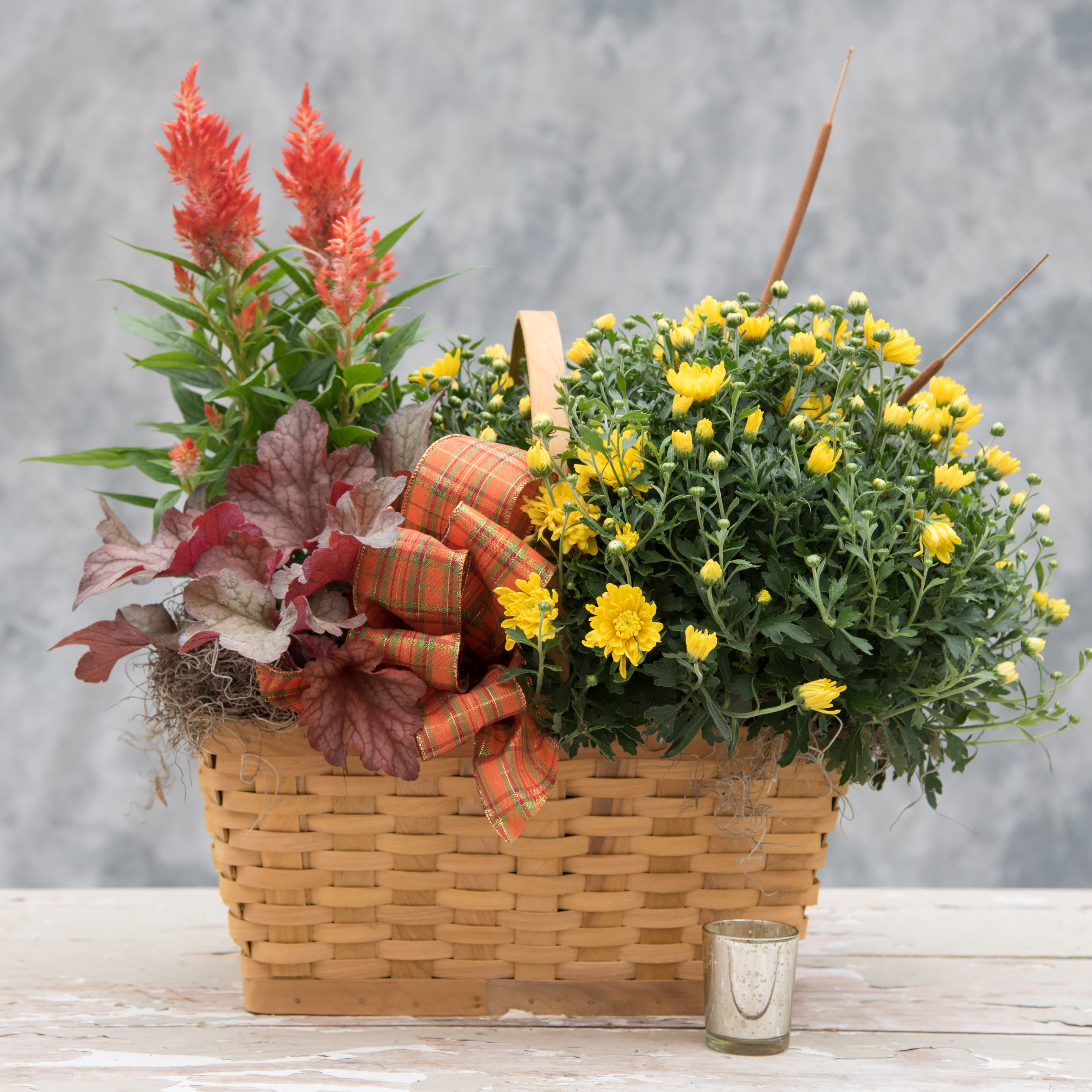 Lancaster Garden - Medium sized wicker basket overflowing with seasonal blooming and green plants thoughtfully chosen by one of our designers from our onsite greenhouse. Finished with one of our signature ribbons.