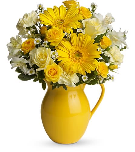 Teleflora's Sunny Day Pitcher of Cheer Teleflora's Sunny Day Pitcher of Cheer - This bouquet is just bright for any occasion! A bright and sunny medley of flowers is hand-delivered in a brilliant ceramic pitcher that can be joyfully used over and over again. Light yellow roses and carnations yellow spray roses gerberas and alstroemeria white monte cassino asters and pittosporum arrive in an exclusive yellow keepsake pitcher. Now that's what we call pitcher perfect!Approximately 13" W x 15 1/2" H Orientation: One-Sided As Shown : T57-1ADeluxe : T57-1BPremium : T57-1C