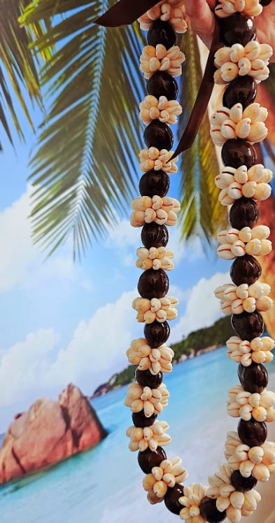 Kukui Necklace w/ Cowrie Shell Kukui Necklace w/ Cowrie Shell - Great gift and memento