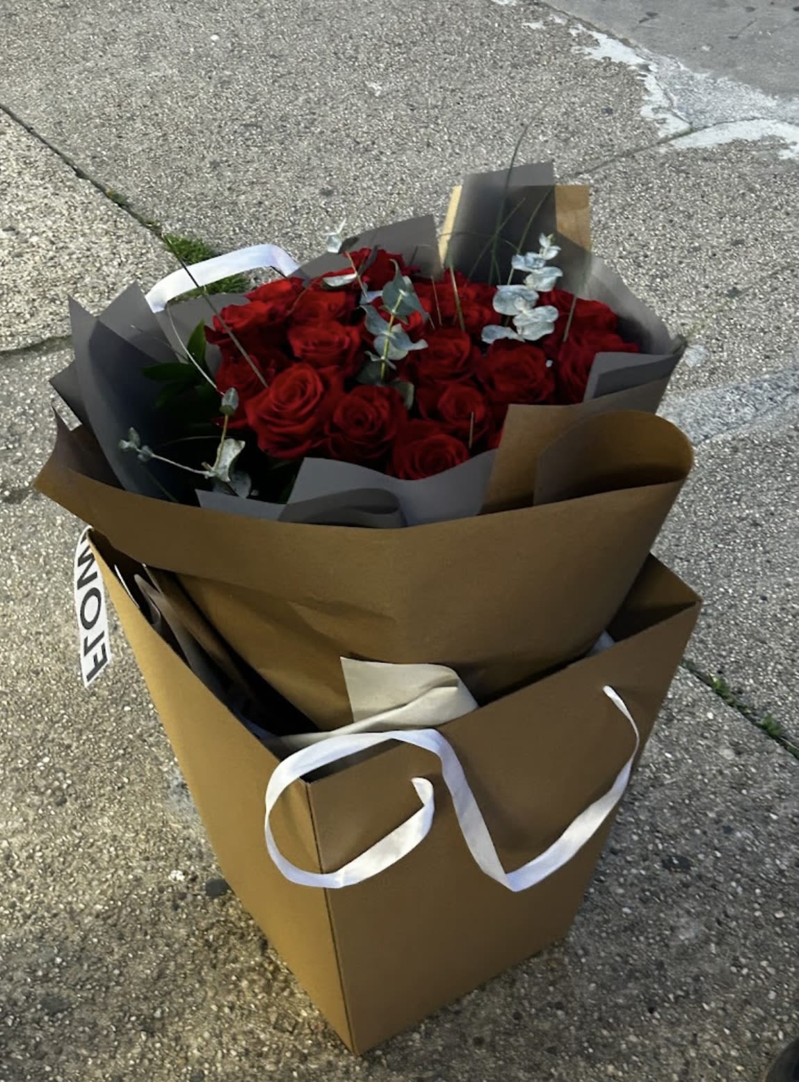 Velour Roses - Beautiful bouquet of red or white roses wrapped in paper, accented with eucalyptus stems, and placed inside a tall gift bag with ribbon handles. 