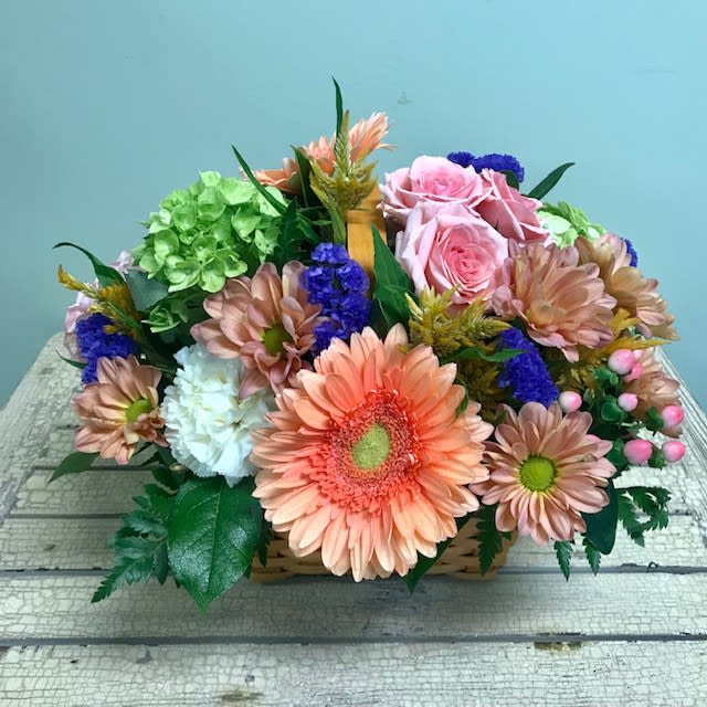 Daisy Days Basket E53 - A natural brown basket is packed with green hydrangea, gerbera daisies, spray roses, daisy spray chrysanthemums, carnations and delicate green leaves.