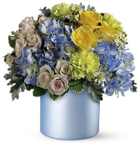 Heavenly Hues Bouquet Heavenly Hues Bouquet - Far prettier than a picture in actuality, this stunning array of flowers in a delicate blue cylinder vase couldn't be more impressive. For a wedding or anniversary, or any dressy occasion, it makes a sublime gift. The enchanting arrangement includes light blue hydrangea, light yellow roses, white spray roses, light green carnations and large Monte Cassino asters accented with dusty miller and variegated pittosporum. Delivered in a stylish ceramic cylinder vase with a light blue satin finish. Bouquet is approximately 12” W X 12.5” H Orientation: All-Around