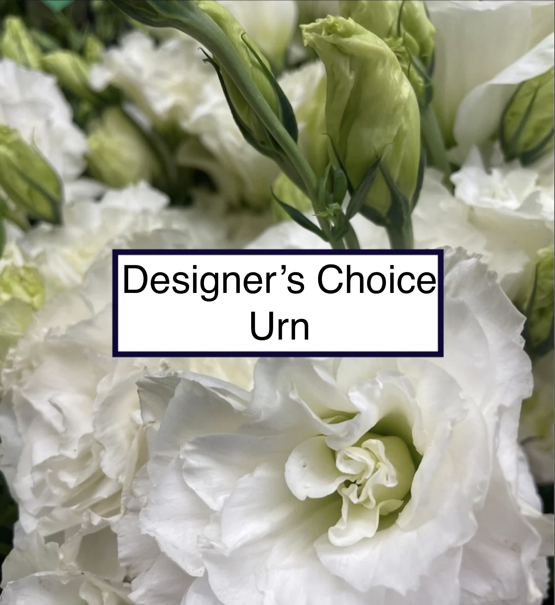 Designer's Choice Urn Designer's Choice Urn - This urn tribute wreath includes color of your choice. Make sure to call, text or write in the "florist Instructions" box what colors you would prefer. Standard size is 30'', deluxe is 36'' and premium is 42''. Interior diameter is about 10'' for standard size.