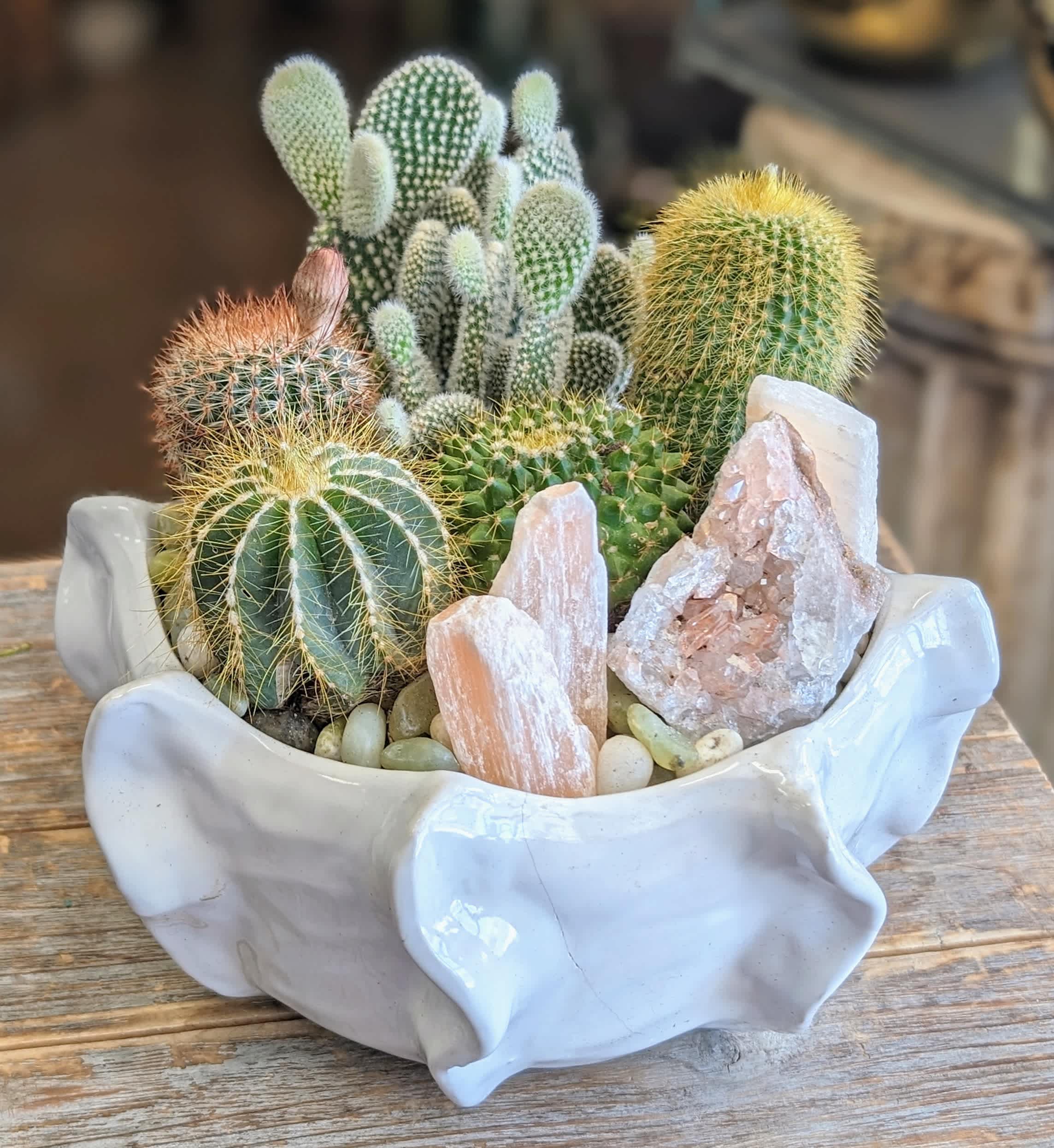 Acacia Acacia - Acacia by Windmill Floral Expressions in Las Vegas is a sculptural tribute to the quiet strength and beauty of the desert. A curated collection of cacti is artfully planted in a ruffled-edge ceramic vessel, its soft white glaze and flowing, folded form reminiscent of sun-bleached canyons and wind-swept dunes. The container itself feels like a piece of modern pottery—elevated, organic, and timeless. Within, a diverse tapestry of cacti brings together striking silhouettes, spiny textures, and earthy tones. Each plant is carefully selected for its form and contrast, creating a harmonious rhythm between wild nature and curated design. Acacia captures the soul of the Southwest—rugged, refined, and radiantly minimalist. Perfect for boho interiors, modern desert décor, or as a low-maintenance botanical statement, this arrangement offers lasting beauty with very little upkeep. Available for same-day delivery in Las Vegas and Henderson.