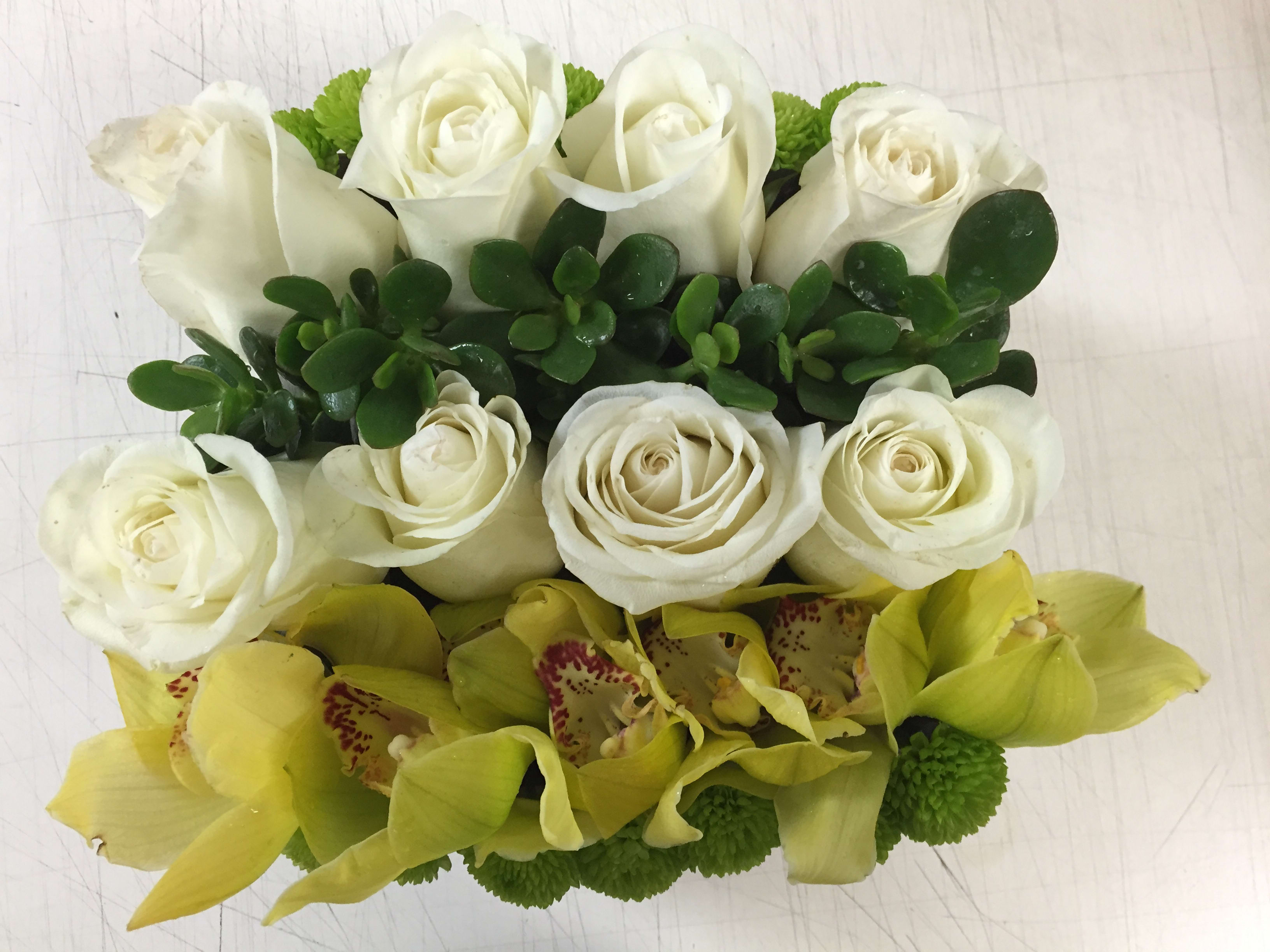 White Cymbidium Orchid Box - cymbidium orchid, white rose and green succulent, modern look in ceramic or wooden box