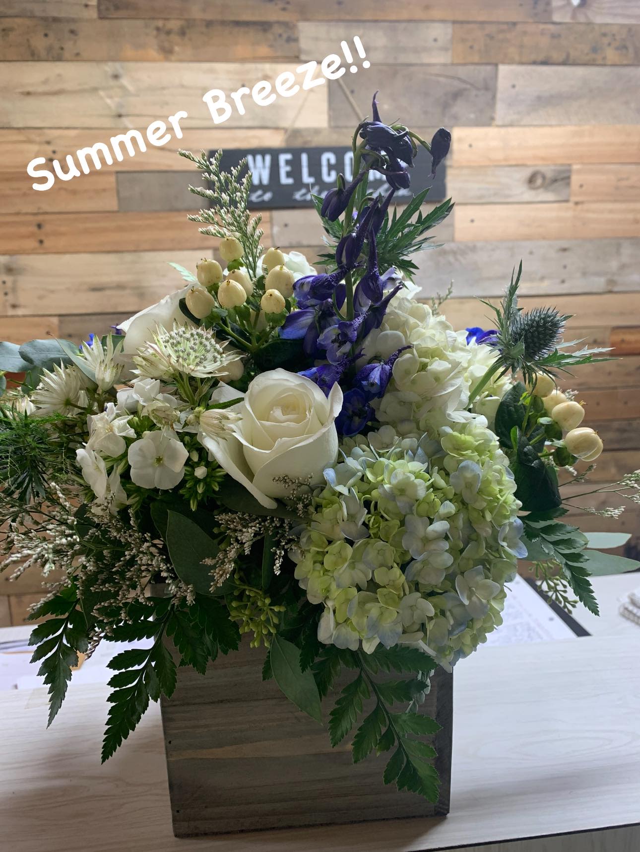 SEA BREEZE SEA BREEZE - Enjoy this blend of blues and white flowers designed in a wood box to give that summer feel and style.