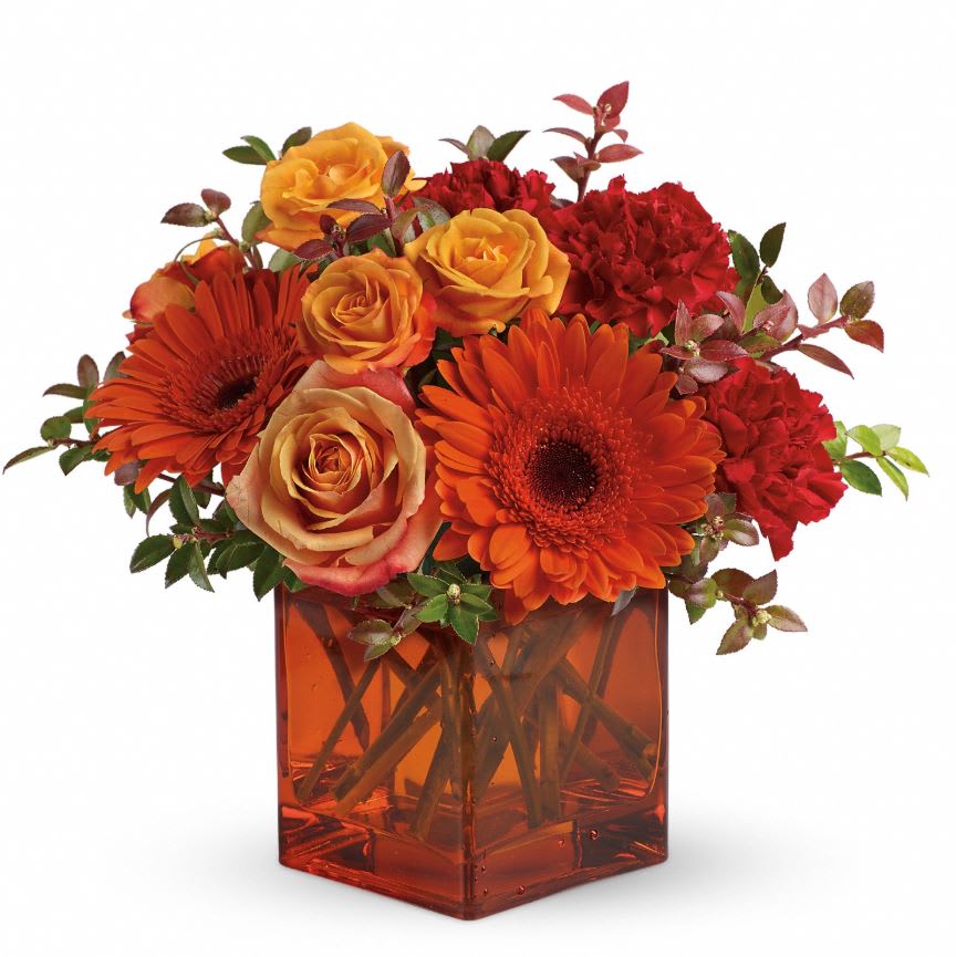 KF_T47-1A Teleflora's Sunrise Sunset KF_T47-1A Teleflora's Sunrise Sunset - Sunrise, sunset, swiftly fly the days. So don't let another day go by without letting someone you know that you are thinking of them. This delightful arrangement will brighten anyone's morning, noon and night. Fiery orange roses, spray roses and gerberas plus red carnations and huckleberry, are arranged in an exclusive orange cube vase. This arrangement is bound to get glowing reviews and thank-yous! Approximately 8" W x 9" H