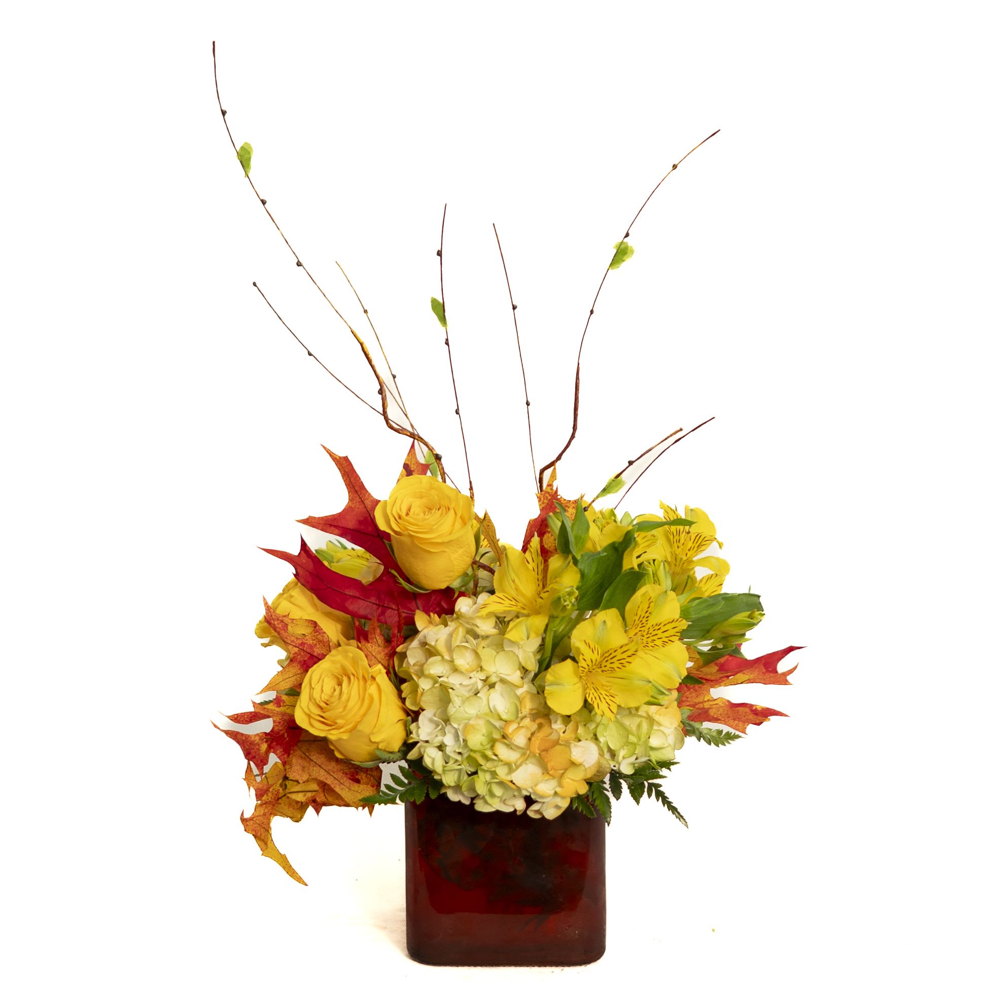 Sunny Fall Days Sunny Fall Days - Bursting with vibrant seasonal charm, this striking arrangement features uniquely colored hydrangea, cheerful yellow roses, sunny alstroemeria blooms, and fresh greenery, accented with preserved fall foliage. Designed in a modern orange cube, this compact artistic display brings warmth, and energy, to any room—perfect for celebrations, seasonal décor, or as a unique gift.