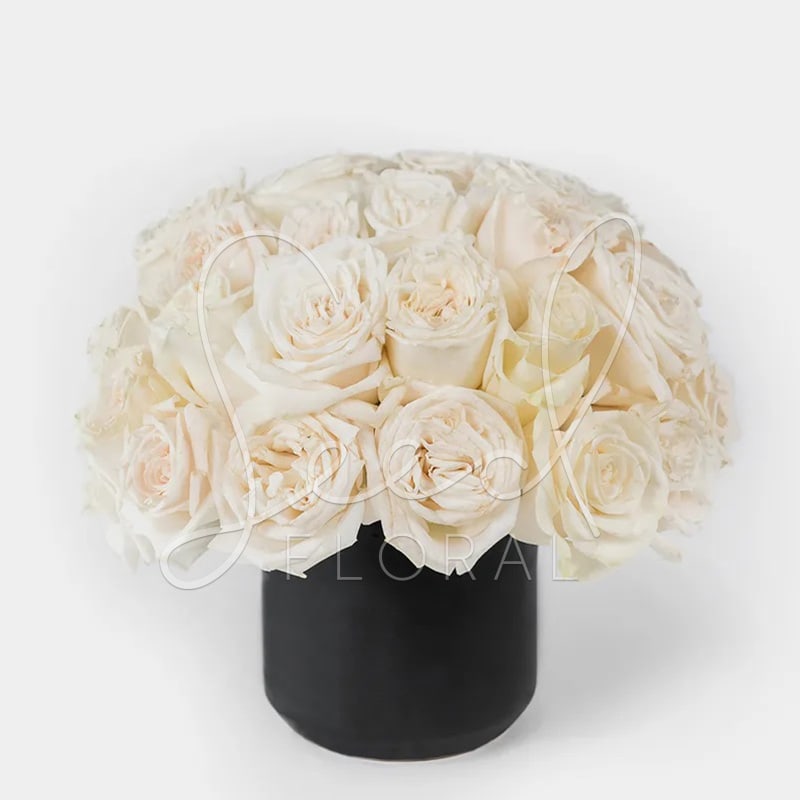 Rose Glam Collection - White - Timeless elegance meets modern sophistication with Rose Glam, an exquisite arrangement of 30 premium white roses beautifully styled in a sleek black ceramic vase. White roses symbolize purity, grace, and new beginnings, making this arrangement a versatile and stunning choice for any occasion.  The striking contrast of crisp white blooms against a matte black vase creates a bold, contemporary statement — perfect for weddings, anniversaries, sympathy, or simply elevating your home or office décor.