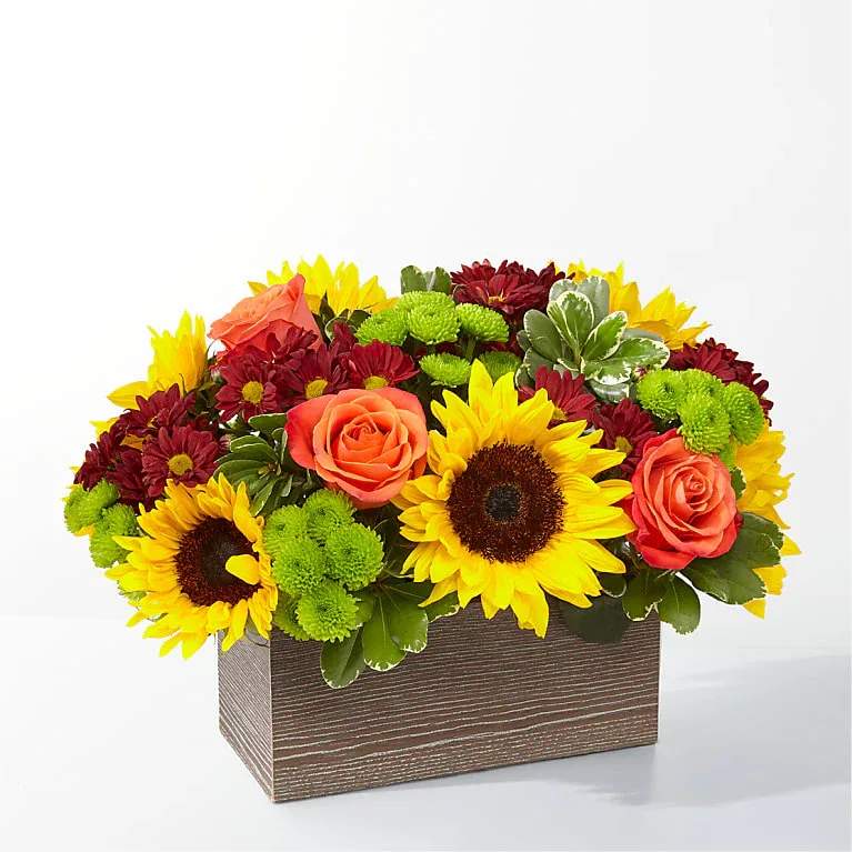 Happy Harvest Garden Happy Harvest Garden - Delight your friends and family with an assortment of bright Autumn colors in a rustic, textured container