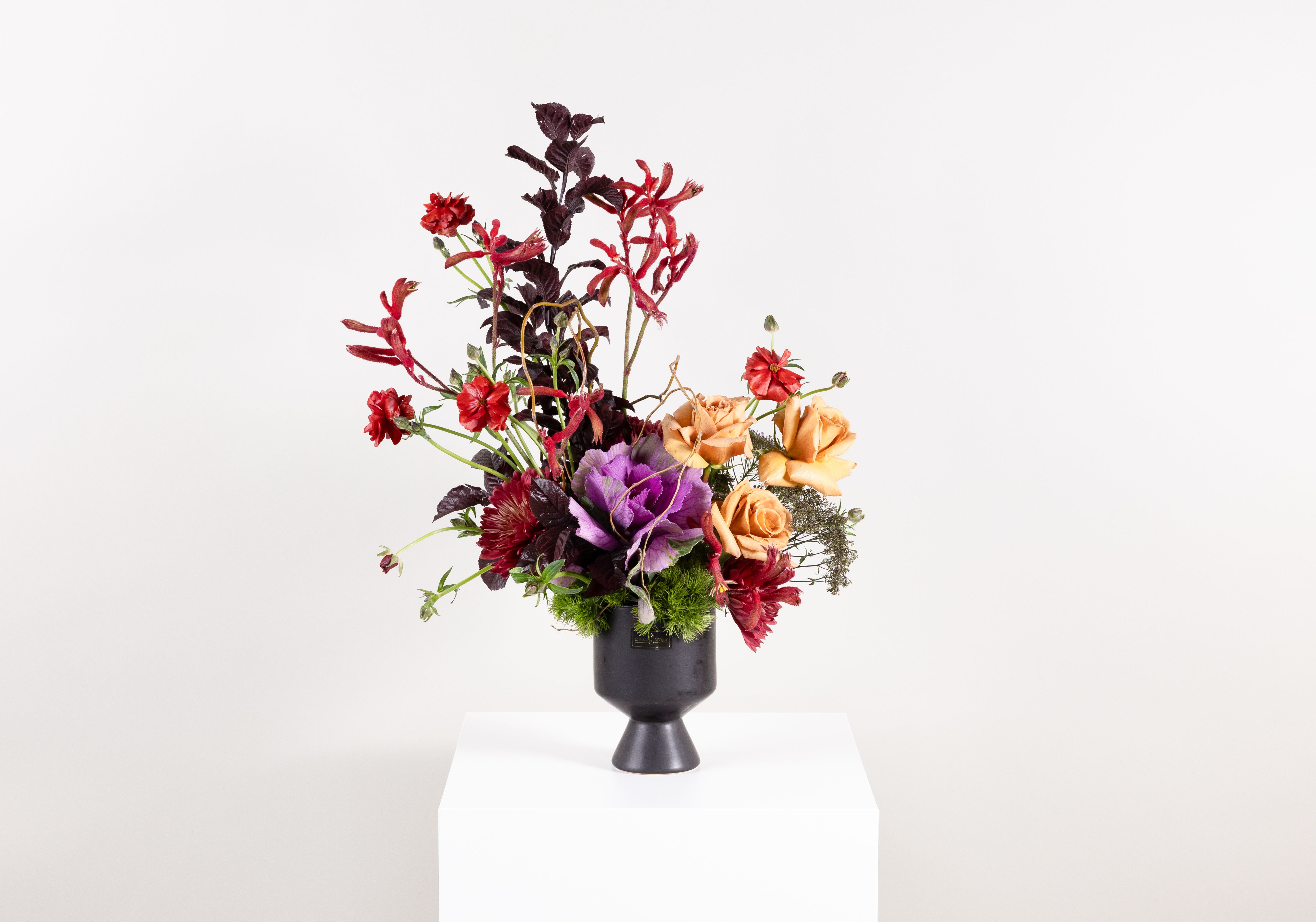 Haunted Heart - This striking floral arrangement showcases an evocative blend of bold textures and rich, autumnal tones. Deep crimson ranunculus, velvety kangaroo paw, and dramatic burgundy foliage intertwine with golden apricot roses and ruffled ornamental kale, creating a composition that is both structured and lush. Wisps of delicate greenery peek through at the base, while bursts of vibrant color reach upward, giving the arrangement a dynamic, sculptural silhouette. Housed in a matte black pedestal vessel, it exudes modern drama with a hint of moody romance.  Perfect for adding a sophisticated edge to contemporary interiors or gifting to someone with an appreciation for bold beauty, expressive color, and unexpected elegance.