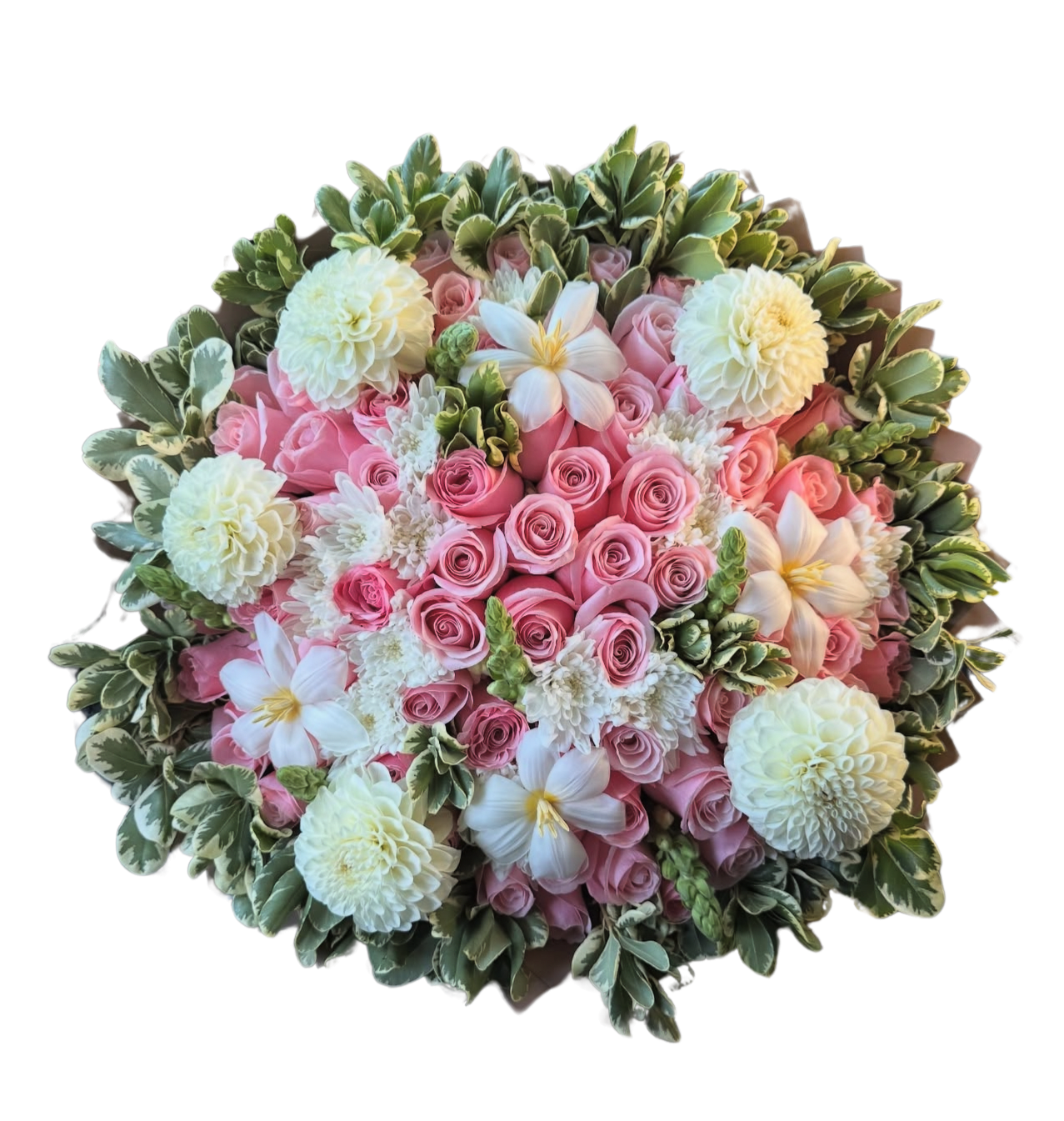 Luxury Pink Rose & White Ramos Buchones Luxury Pink Rose & White Ramos Buchones - A breathtaking bouquet that blends timeless romance with modern elegance. Featuring lush pink roses, soft white dahlias, delicate white lilies, and fresh greenery accents, this handcrafted arrangement is designed to impress. The layered textures and rich blooms create a full, luxurious look perfect for any celebration. Ideal for anniversaries, birthdays, weddings, or just because, this bouquet delivers a message of love, beauty, and sophistication. Each stem is carefully selected for quality and freshness, ensuring your gift leaves a lasting impression. Available in multiple sizes to suit every occasion. 25 Roses 50 Roses 75 Roses Bouquet will have Dahlias when in season only. White Mums will be used when not avaiable.