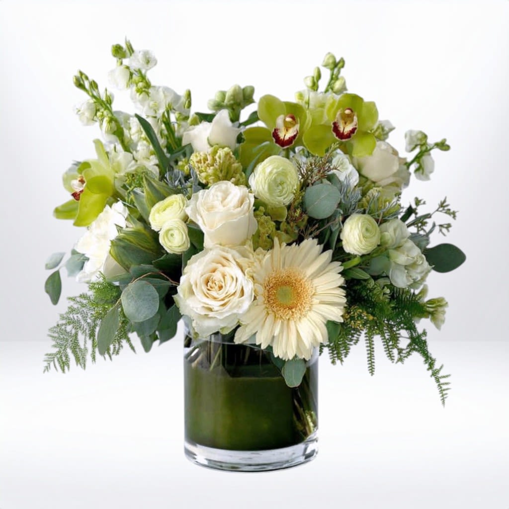 Graceful Farewell Graceful Farewell - Offer comfort and peace with our Graceful Farewell Bouquet, a soft and soothing arrangement featuring white gerbera daisies, cream roses, green cymbidium orchids, and seasonal greenery. This elegant sympathy floral arrangement is designed to express heartfelt condolences with grace and warmth. Available for sympathy flower delivery in Galveston and surrounding areas by Twigs and Blooms. Substitution Disclaimer: Due to seasonal availability, some blooms may be replaced with similar varieties of equal or greater value to maintain the design’s look and integrity. Your arrangement will always reflect the same spirit, palette, and premium quality.