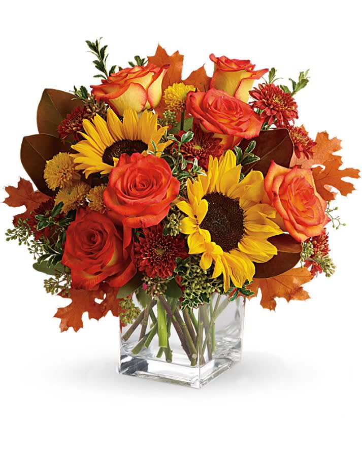 Teleflora's Hello Autumn Bouquet - Sunny sunflowers and radiant roses in a happy orange cube vase bring joy to any fall décor! This bright bouquet includes orange roses, yellow sunflowers, gold cushion spray chrysanthemums, rust cushion spray chrysanthemums, seeded eucalyptus, oregonia, and magnolia leaves. 