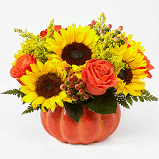 Harvest Traditions Pumpkin Bouquet by FTD - Fun and fresh, this arrangement is perfect for Fall. This ceramic pumpkin is full of vibrant blooms and accents of lush greens.   Product ID 20-F2D  Approximately 9&quot;H x 10&quot;W