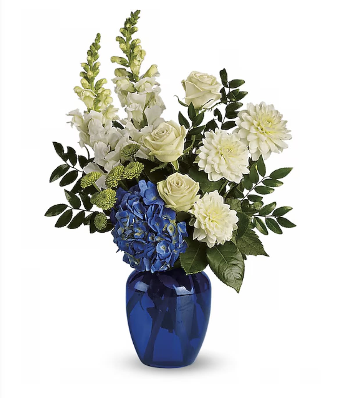 Ocean Devotion Bouquet - Sending this stunning blue and white bouquet is sure to bring waves of appreciation from the lucky recipient. Featuring vibrant blue hydrangeas, green roses, button spray chrysanthemums, elegant white dahlias, and snapdragons, all complemented by huckleberry, this beautiful arrangement is presented in a striking cobalt vase.