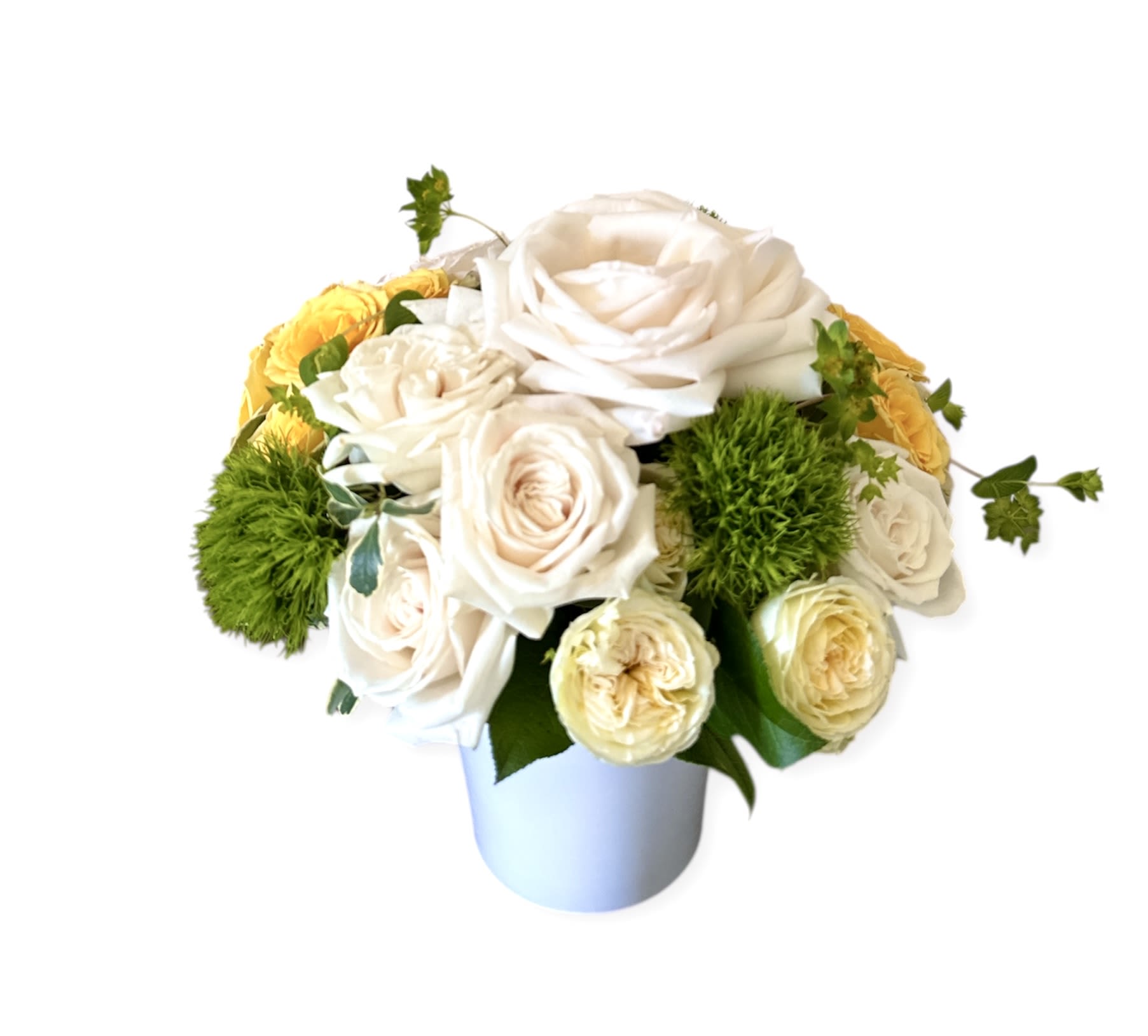 Lemon Cream Delight Lemon Cream Delight - Lemon Cream Delight Fresh white and yellow roses paired with green trick dianthus in a modern white vase—bright, cheerful, and elegant.
