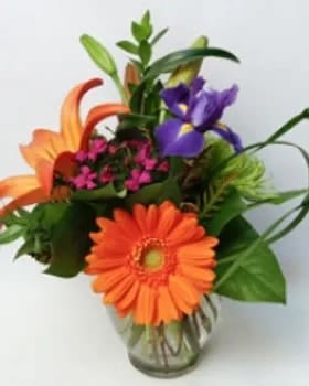 Everyday #12 Everyday #12 - an arrangement featuring a gerbera daisy.