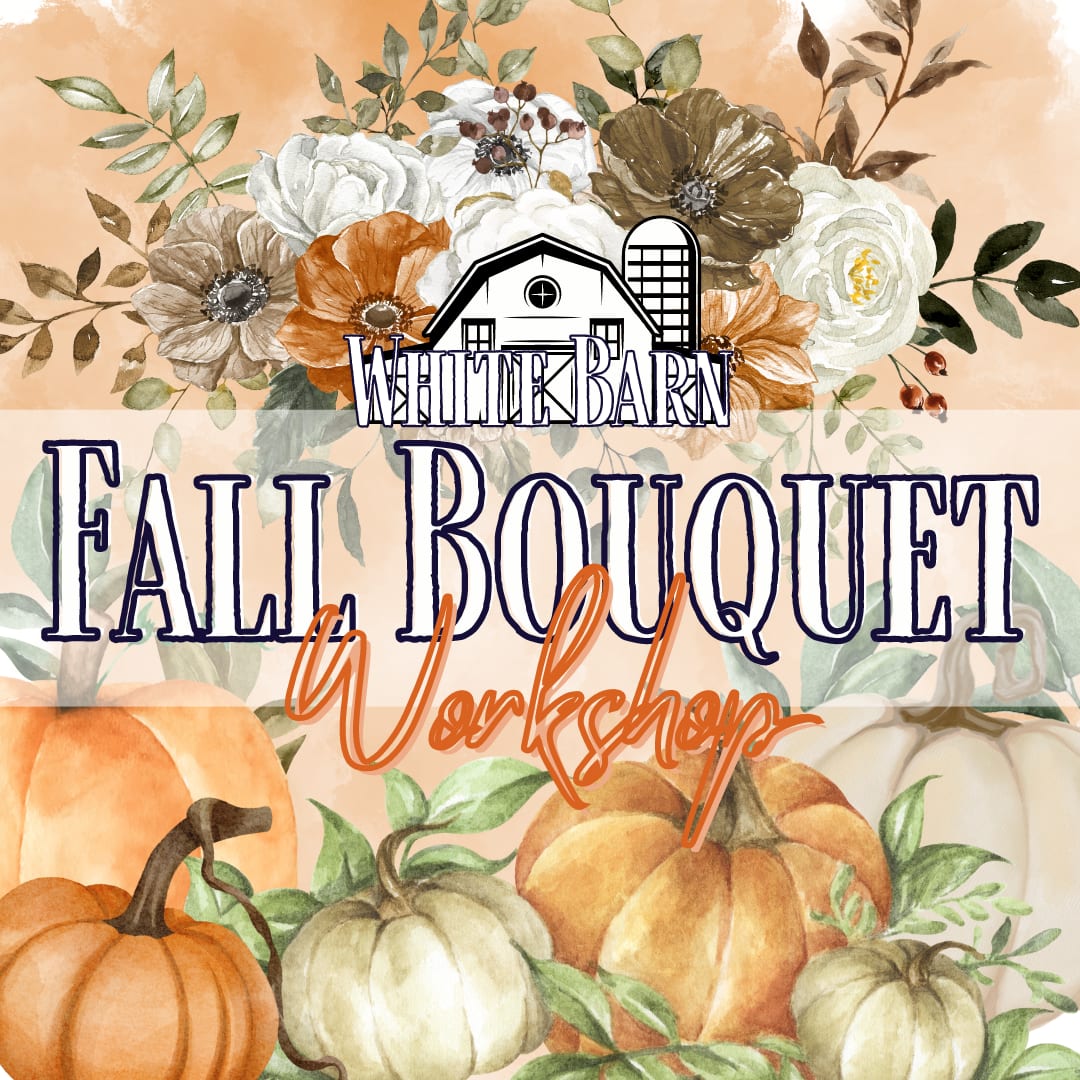 Fall Bouquet Workshop - September 26th, 2025 - Create a beautiful bouquet using the best florals of the fall season! No experience necessary  All supplies provided Bites and sips provided Limited spots available!  Location: White Barn decor Date: Friday, September  26th, 2025 Time: 6:00pm (class expected to last at least 2 hours)