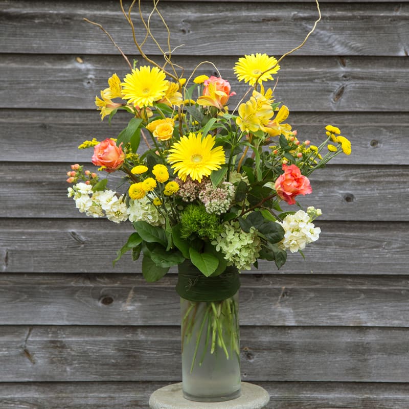 Loose and Airy Mix - Gerbers, curly willow, alstromeria, white stock, roses, spray roses, hydrangeas, in a wrapped aspidra leaf encased in a cylindrical glass vase. 
