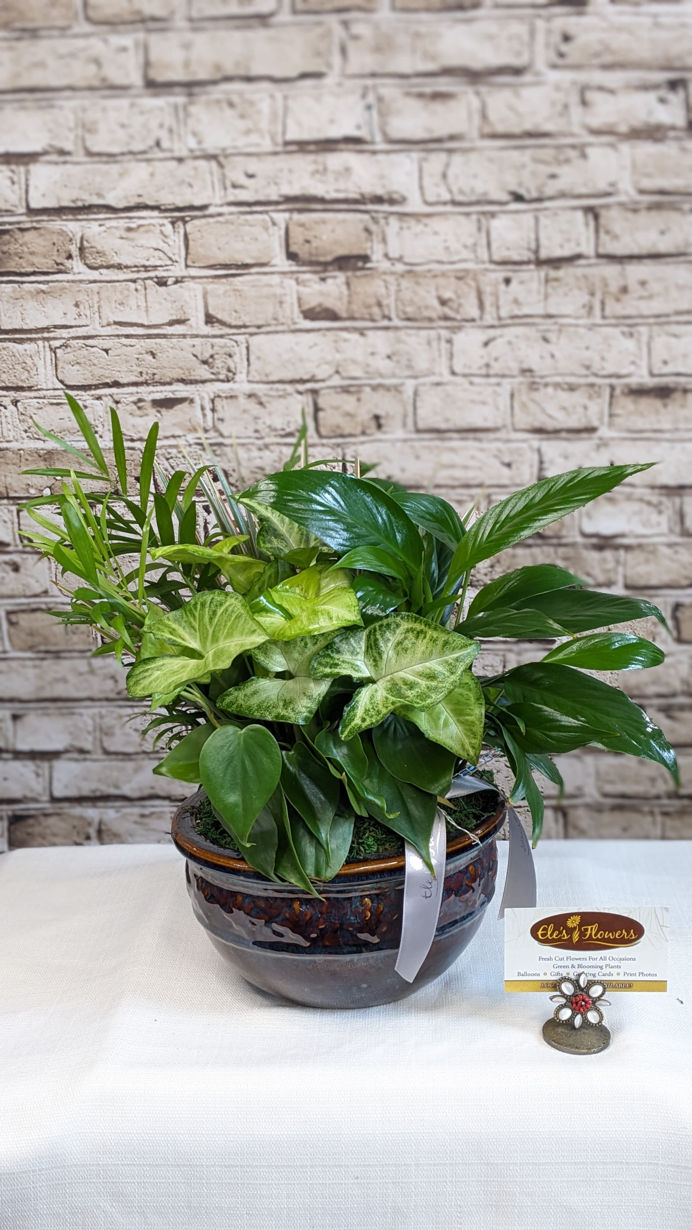 Petite Dish Garden Petite Dish Garden - A dish garden is a serene and lush arrangement of various small green plants, chosen for their different textures and shapes. This garden typically includes vibrant foliage like ferns, moss, small palms, or vines such as Pothos or Philodendron. The monochromatic palette creates a calming, cohesive look, emphasizing the beauty of natural greenery. The diverse forms and shades of green make it an elegant, low-maintenance centerpiece that brings a fresh, tranquil vibe to any indoor space. Each Dish Garden contains 4 - 6 plants. Approximate Dimensions: 14"H x 14"W