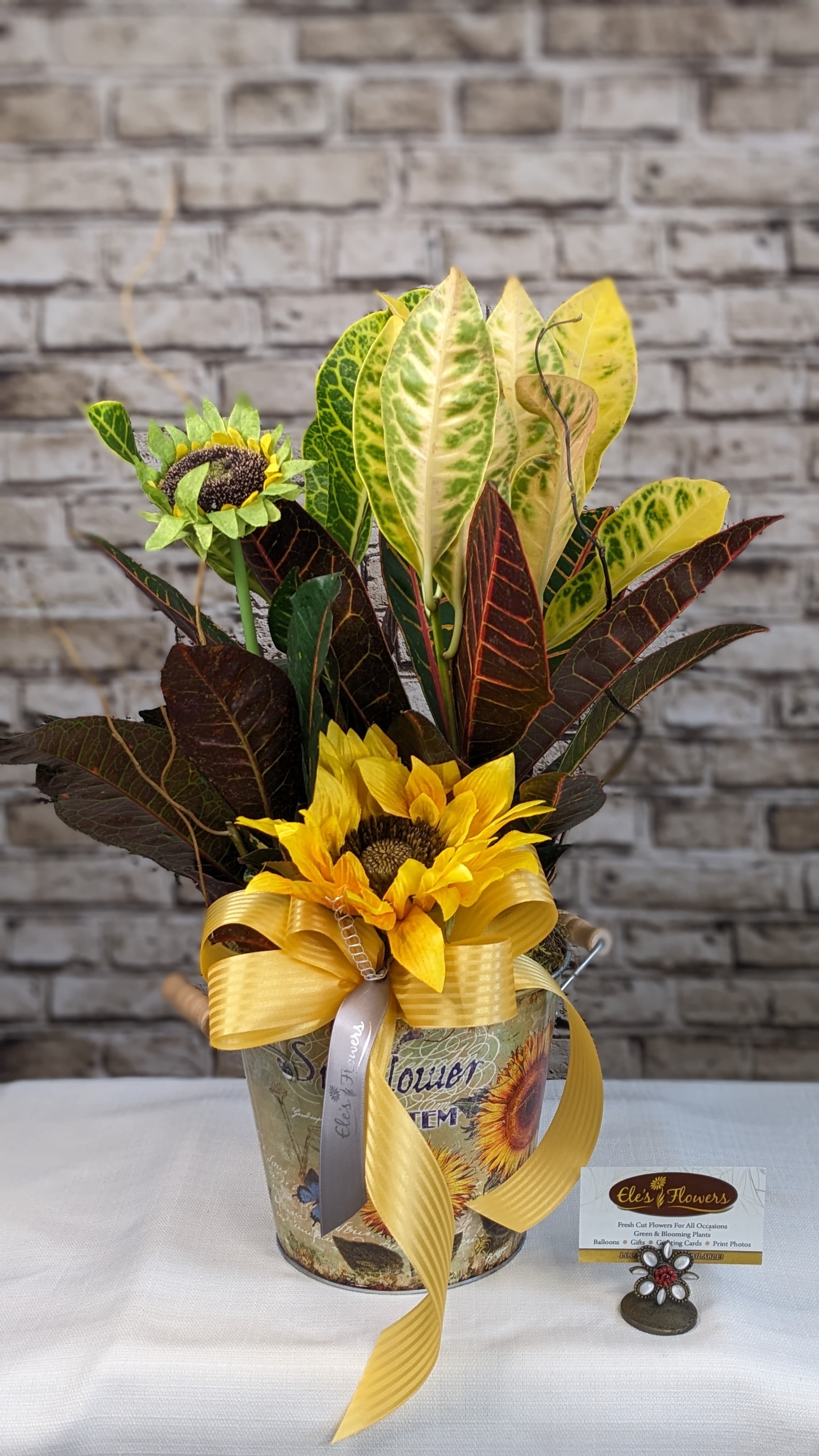 Croton Plant Sunflower - 6" Planter Croton Plant Sunflower - 6" Planter - Croton plants feature glossy, leathery leaves that are typically large and come in a wide range of vibrant colors and patterns. The leaves can be variegated with shades of yellow, orange, red, green, and purple, often in bold and dramatic combinations. Some varieties have distinct patterns such as stripes, spots, or splotches, adding to their visual appeal.  These plants can grow as shrubs or small trees, reaching heights of 3 to 6 feet indoors. They prefer bright, indirect light but can tolerate some direct sunlight. Croton plants thrive in well-draining soil and require regular watering to keep the soil evenly moist, especially during active growth periods. This plant should be kept out of the reach of children and pets.   Care instructions are provided. Approximate Dimensions: 19"H x 13"W